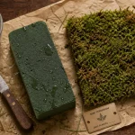 Mousse verte plante : mousse florale et mousse vivante pour terrarium