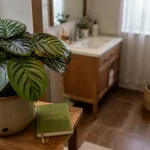 Plante verte salle de bain : calathea près de la fenêtre, feuilles vertes