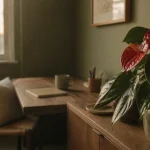 Plantes d intérieur fleurs rouges sans soleil direct : anthurium en pot